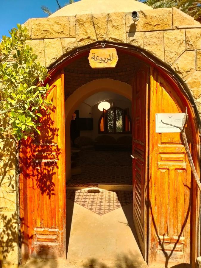 Panta Lodge Siwa Siwa Oasis Ngoại thất bức ảnh