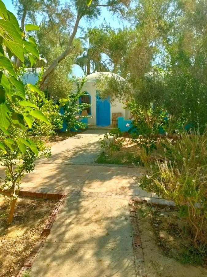 Panta Lodge Siwa Siwa Oasis Ngoại thất bức ảnh